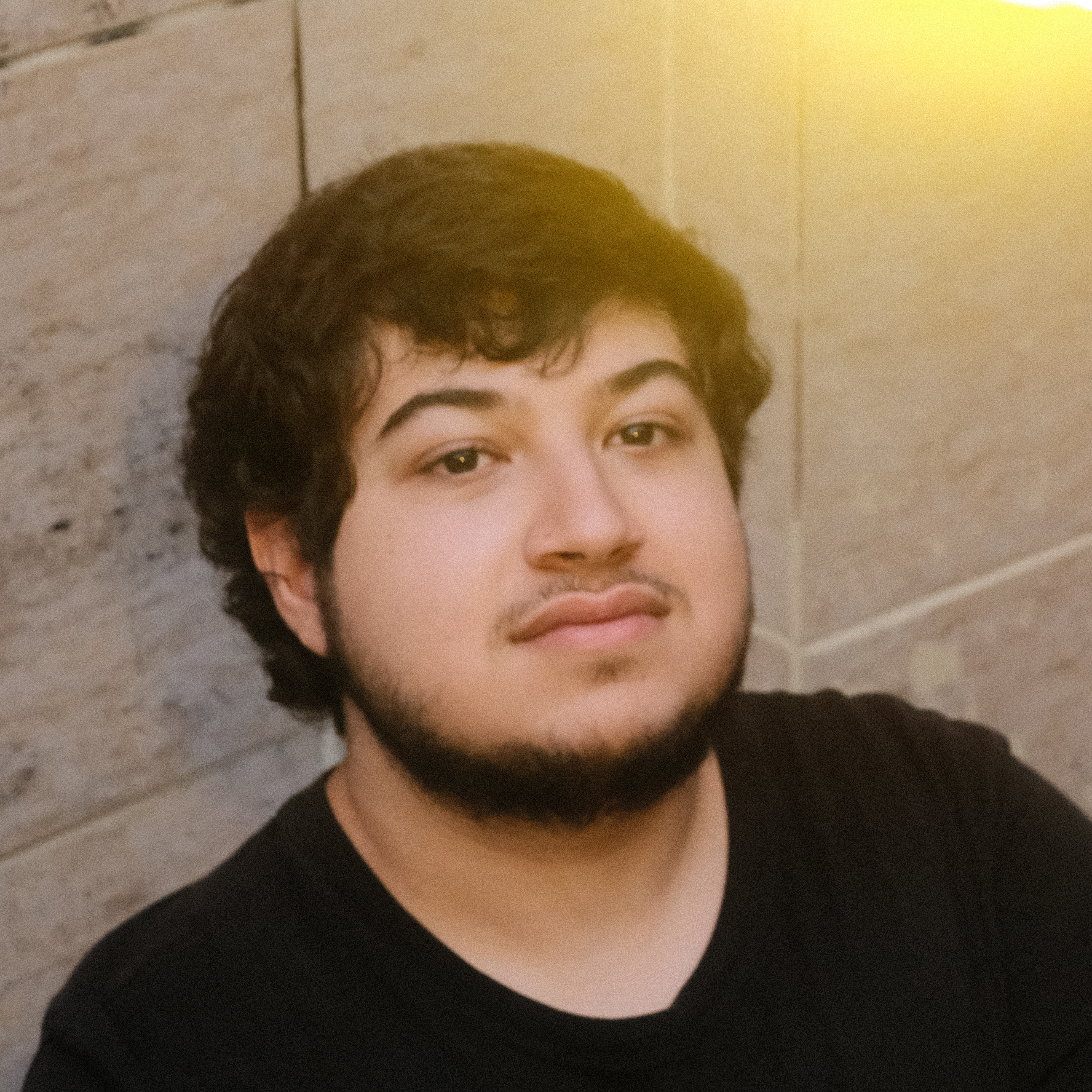 Arthur de Araujo Faria